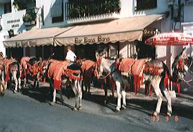 �~�n�X�����h���o�^�N�h