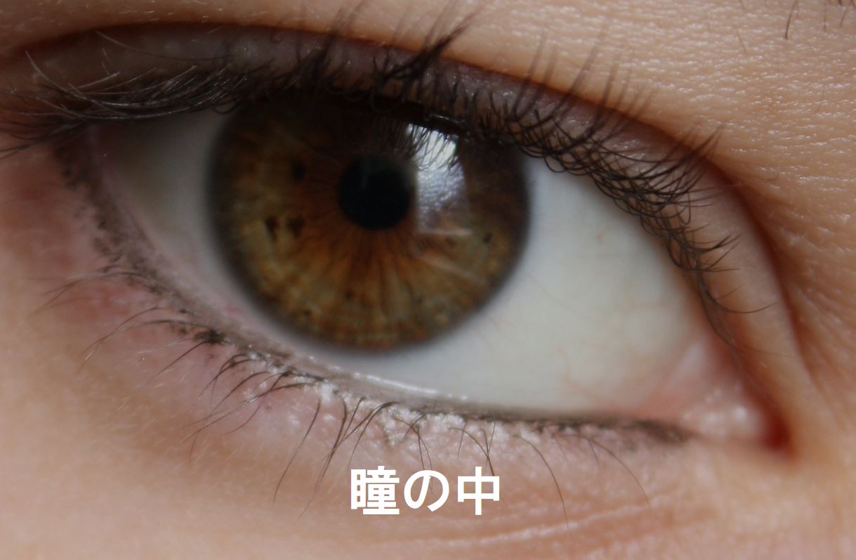 瞳の中